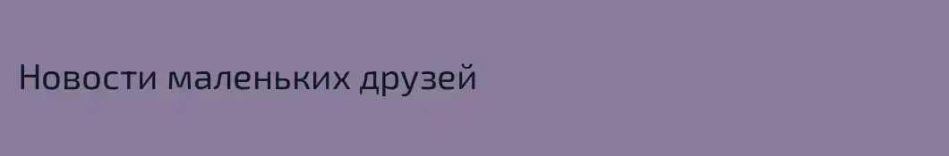 Новости маленьких друзей